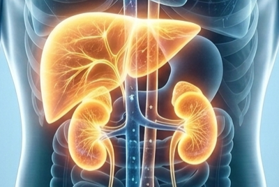 The Inaugural UCLA Kidney-Liver Connection Symposium Banner